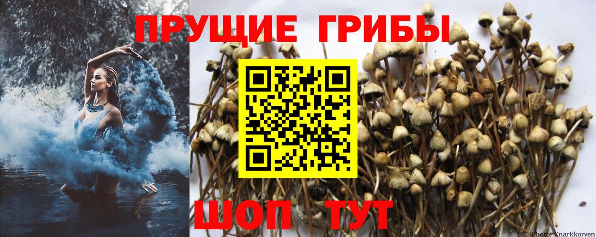 Галлюциногенные грибы Magic Shrooms Шарыпово