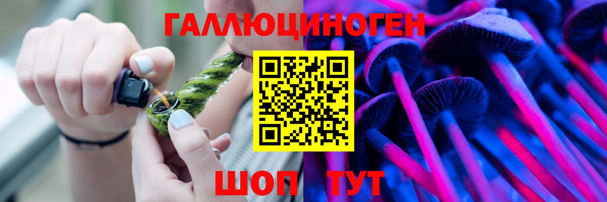 Шарыпово  Псилоцибиновые грибы Cubensis  Галлюциногенные грибы MAGIC MUSHROOMS  Вход с VPN 